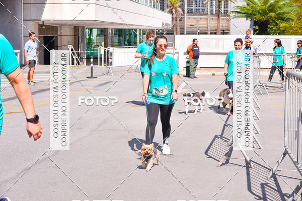 Buy your photos of the event2 Pet Run Shopping Eldorado  on Fotop
