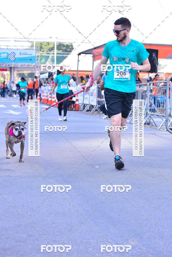 Buy your photos of the event2 Pet Run Shopping Eldorado  on Fotop