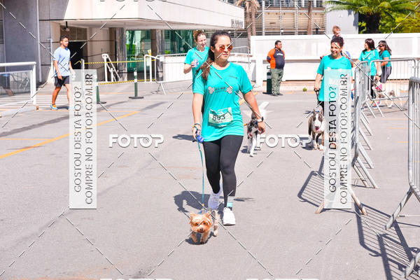 Buy your photos of the event2 Pet Run Shopping Eldorado  on Fotop