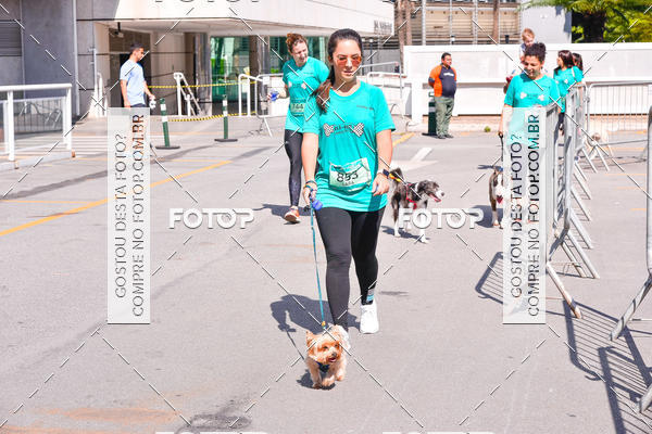Buy your photos of the event2 Pet Run Shopping Eldorado  on Fotop