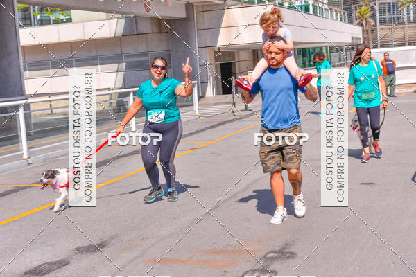 Buy your photos of the event2 Pet Run Shopping Eldorado  on Fotop