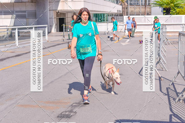 Buy your photos of the event2 Pet Run Shopping Eldorado  on Fotop
