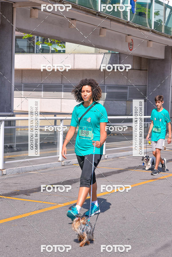 Buy your photos of the event2 Pet Run Shopping Eldorado  on Fotop