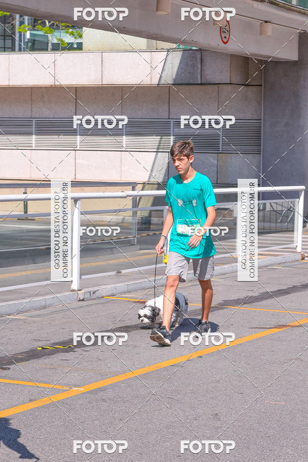 Buy your photos of the event2 Pet Run Shopping Eldorado  on Fotop