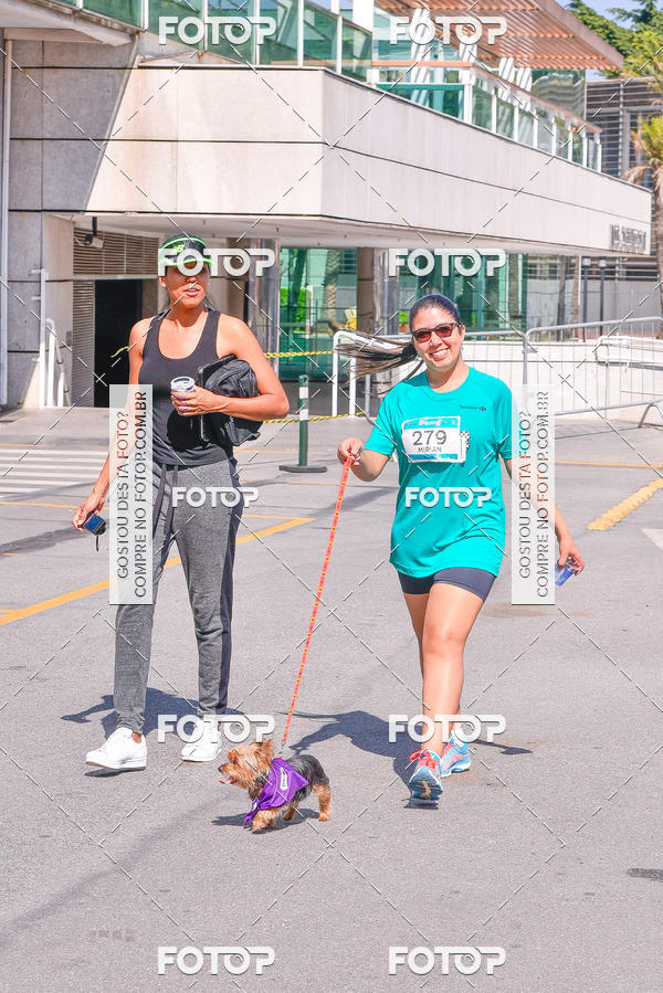 Buy your photos of the event2 Pet Run Shopping Eldorado  on Fotop