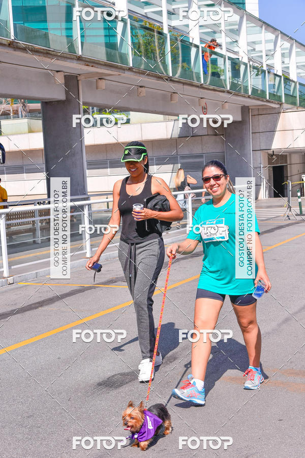 Buy your photos of the event2 Pet Run Shopping Eldorado  on Fotop