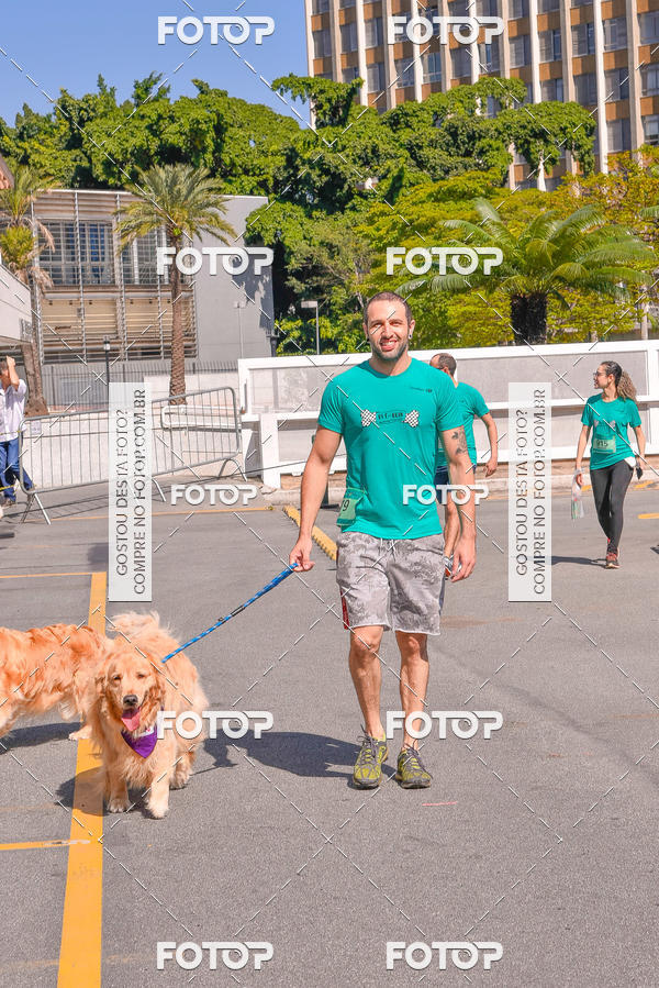 Buy your photos of the event2 Pet Run Shopping Eldorado  on Fotop