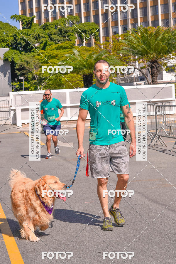 Buy your photos of the event2 Pet Run Shopping Eldorado  on Fotop