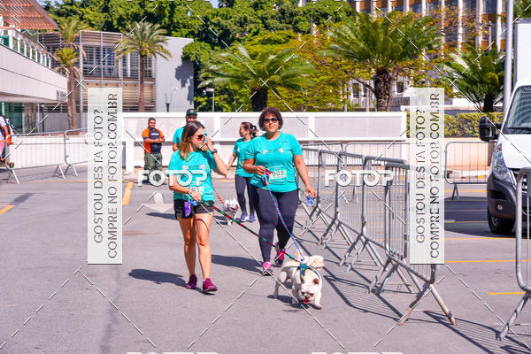 Buy your photos of the event2 Pet Run Shopping Eldorado  on Fotop