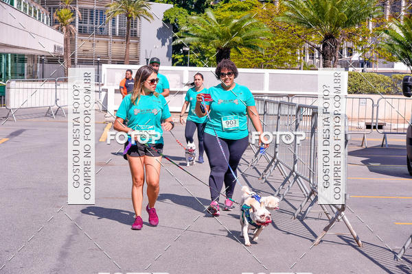 Buy your photos of the event2 Pet Run Shopping Eldorado  on Fotop