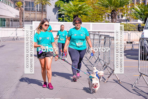 Buy your photos of the event2 Pet Run Shopping Eldorado  on Fotop