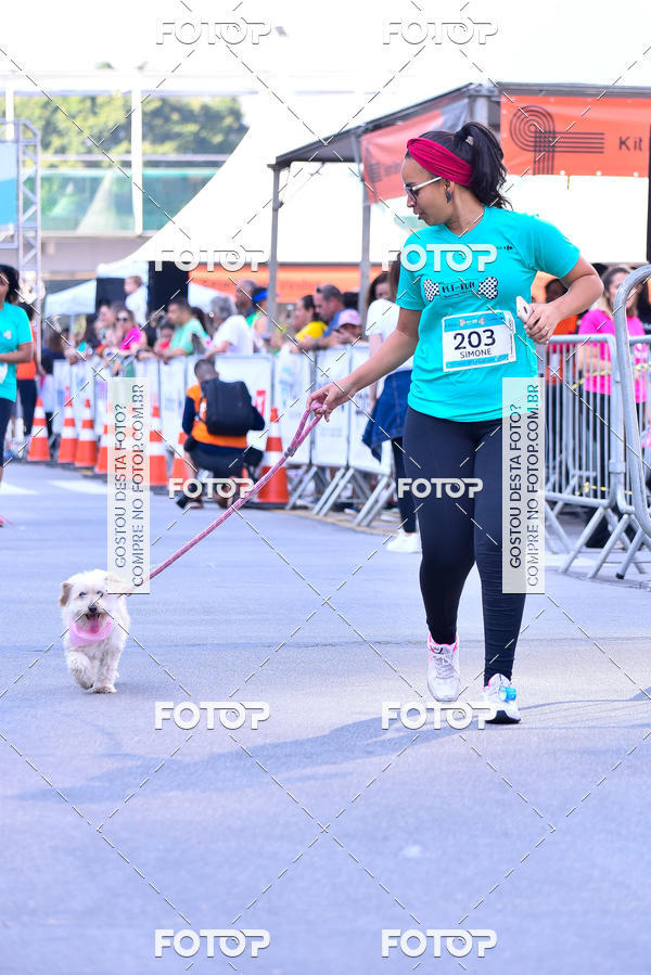 Buy your photos of the event2 Pet Run Shopping Eldorado  on Fotop