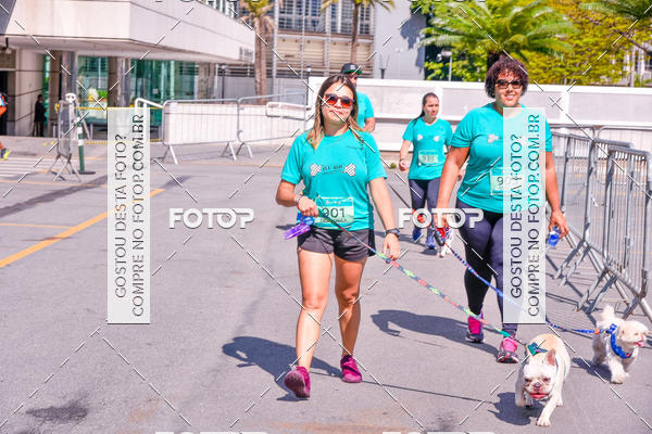 Buy your photos of the event2 Pet Run Shopping Eldorado  on Fotop