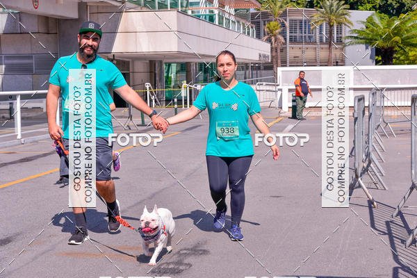 Buy your photos of the event2 Pet Run Shopping Eldorado  on Fotop