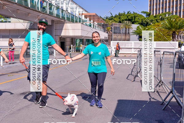 Buy your photos of the event2 Pet Run Shopping Eldorado  on Fotop