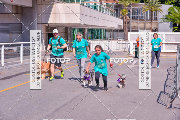 Buy your photos of the event2 Pet Run Shopping Eldorado  on Fotop