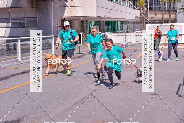 Buy your photos of the event2 Pet Run Shopping Eldorado  on Fotop