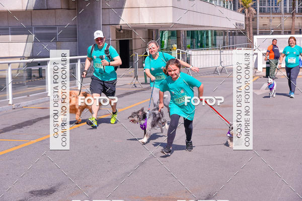 Buy your photos of the event2 Pet Run Shopping Eldorado  on Fotop
