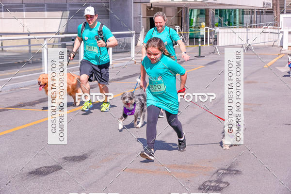 Buy your photos of the event2 Pet Run Shopping Eldorado  on Fotop