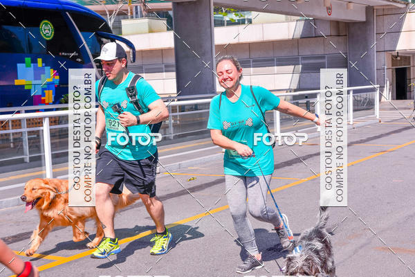 Buy your photos of the event2 Pet Run Shopping Eldorado  on Fotop