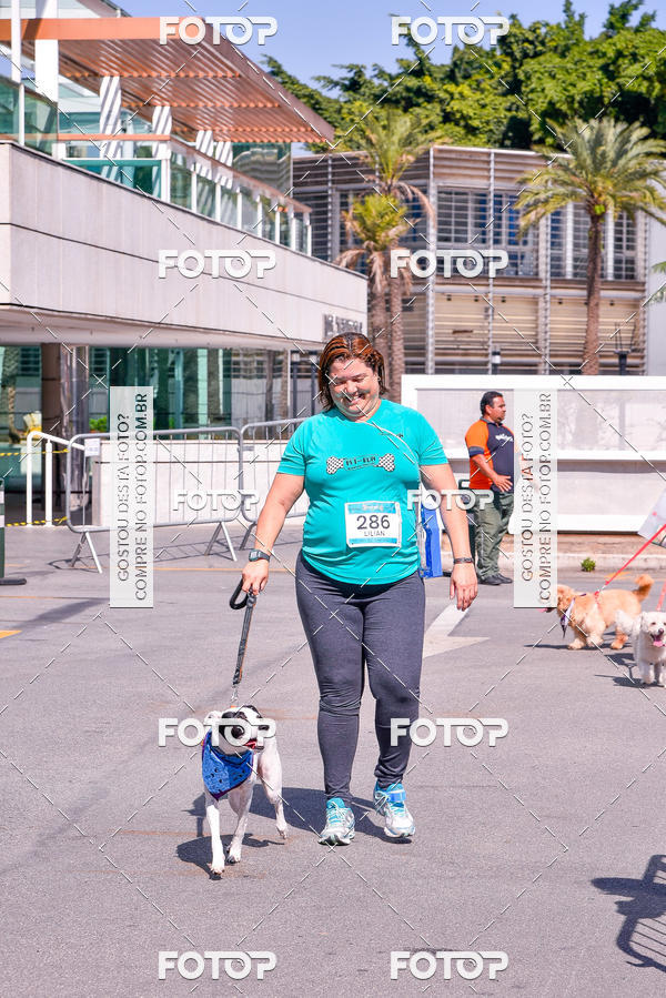 Buy your photos of the event2 Pet Run Shopping Eldorado  on Fotop
