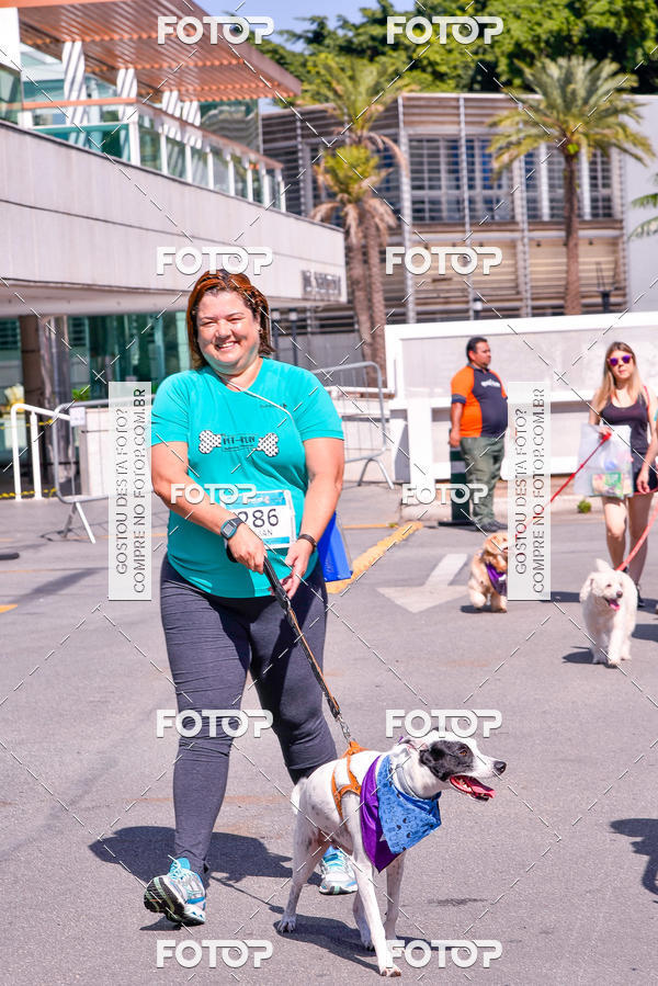 Buy your photos of the event2 Pet Run Shopping Eldorado  on Fotop