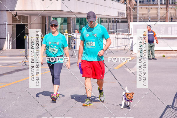 Buy your photos of the event2 Pet Run Shopping Eldorado  on Fotop