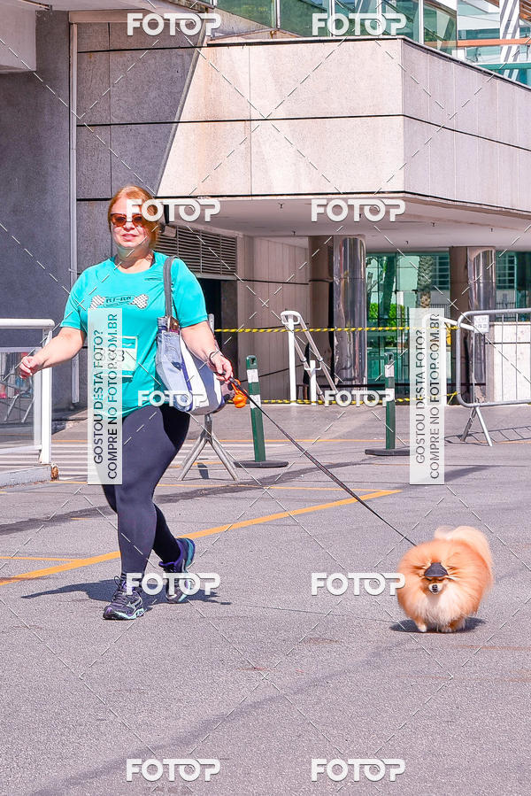 Buy your photos of the event2 Pet Run Shopping Eldorado  on Fotop
