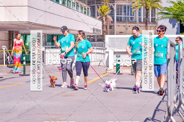 Buy your photos of the event2 Pet Run Shopping Eldorado  on Fotop
