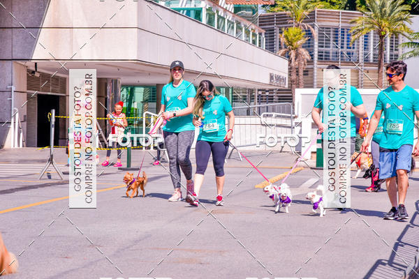 Buy your photos of the event2 Pet Run Shopping Eldorado  on Fotop