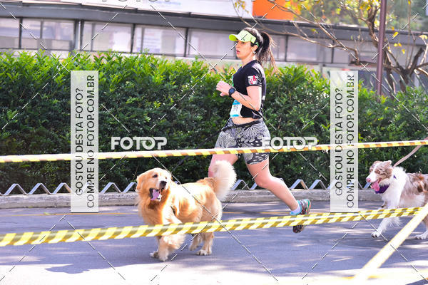 Buy your photos of the event2 Pet Run Shopping Eldorado  on Fotop