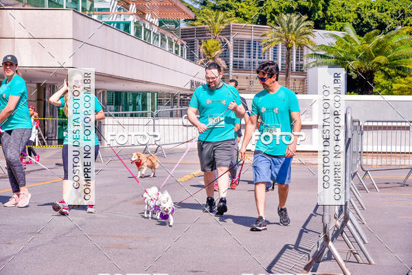 Buy your photos of the event2 Pet Run Shopping Eldorado  on Fotop