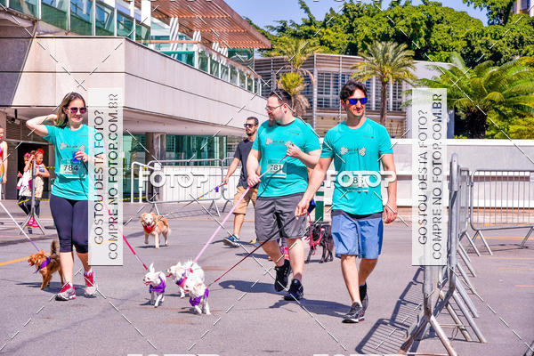 Buy your photos of the event2 Pet Run Shopping Eldorado  on Fotop