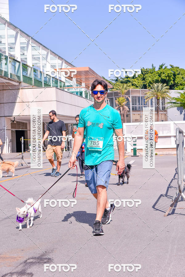 Buy your photos of the event2 Pet Run Shopping Eldorado  on Fotop