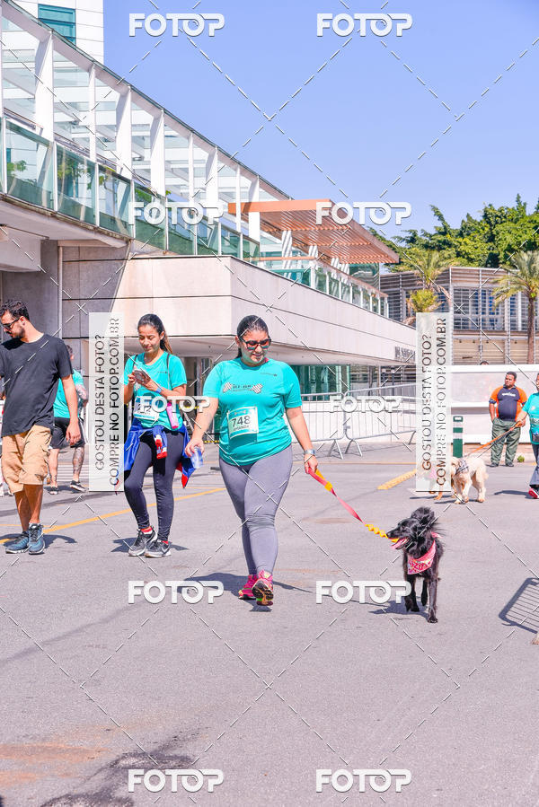 Buy your photos of the event2 Pet Run Shopping Eldorado  on Fotop