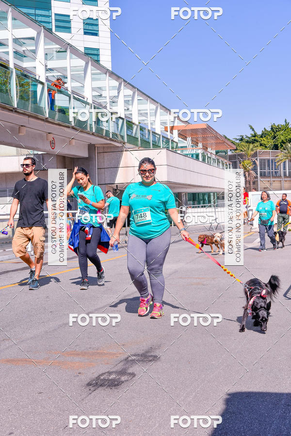 Buy your photos of the event2 Pet Run Shopping Eldorado  on Fotop