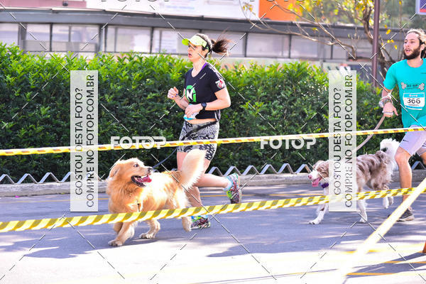 Buy your photos of the event2 Pet Run Shopping Eldorado  on Fotop
