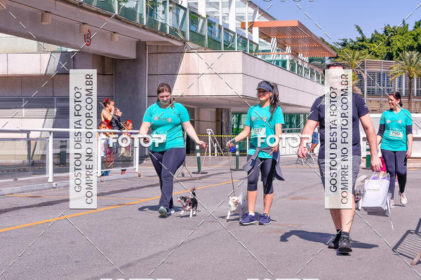 Buy your photos of the event2 Pet Run Shopping Eldorado  on Fotop