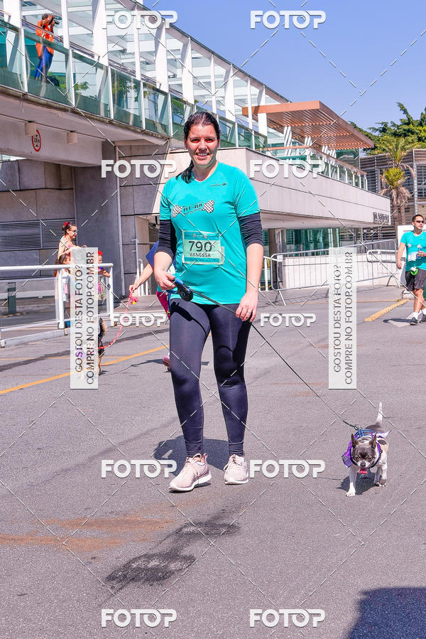 Buy your photos of the event2 Pet Run Shopping Eldorado  on Fotop