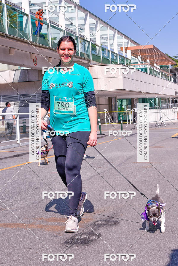 Buy your photos of the event2 Pet Run Shopping Eldorado  on Fotop