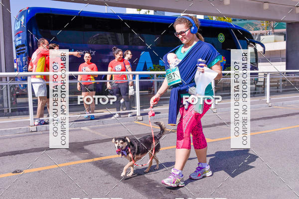 Buy your photos of the event2 Pet Run Shopping Eldorado  on Fotop