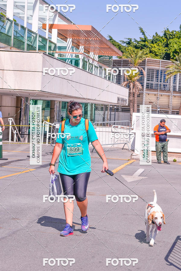 Buy your photos of the event2 Pet Run Shopping Eldorado  on Fotop
