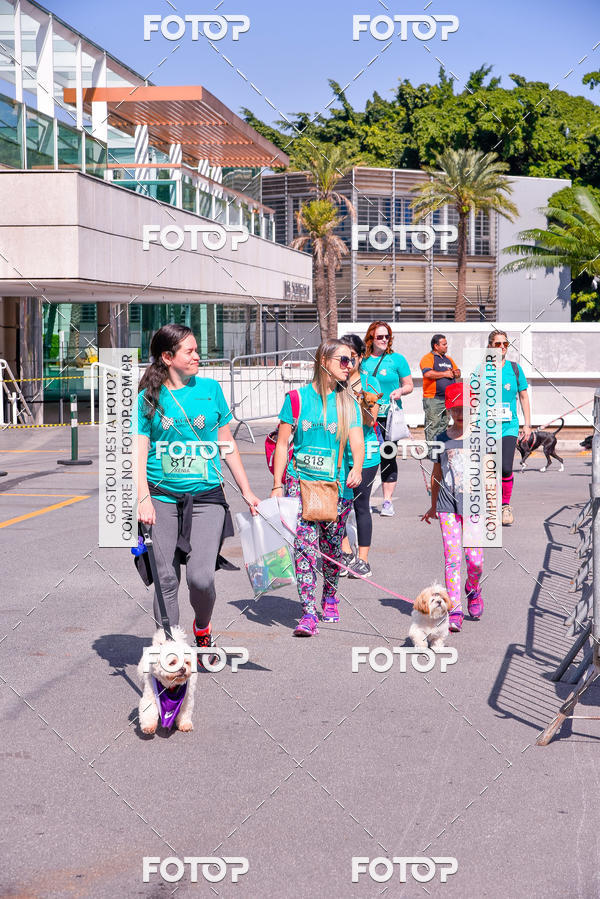 Buy your photos of the event2 Pet Run Shopping Eldorado  on Fotop