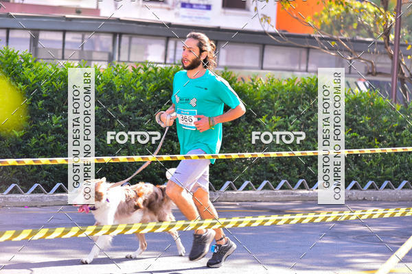 Buy your photos of the event2 Pet Run Shopping Eldorado  on Fotop