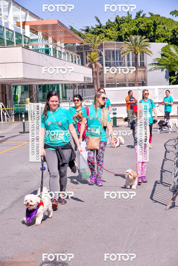 Buy your photos of the event2 Pet Run Shopping Eldorado  on Fotop
