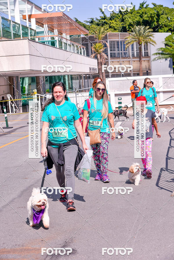 Buy your photos of the event2 Pet Run Shopping Eldorado  on Fotop