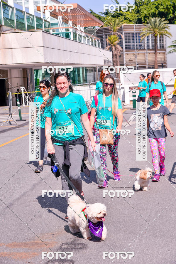Buy your photos of the event2 Pet Run Shopping Eldorado  on Fotop