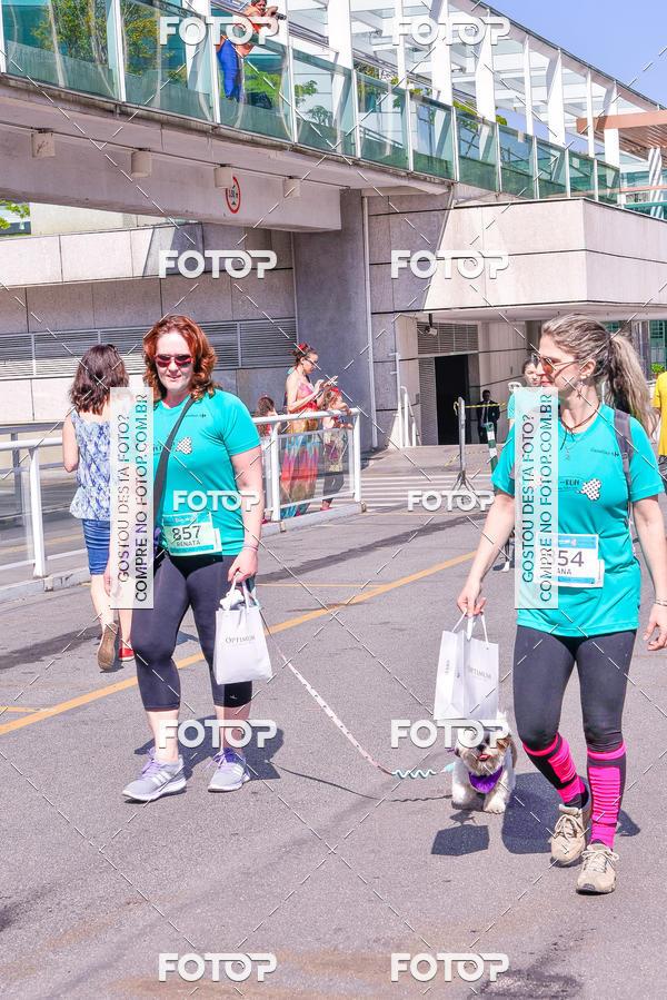 Buy your photos of the event2 Pet Run Shopping Eldorado  on Fotop