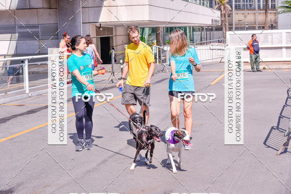 Buy your photos of the event2 Pet Run Shopping Eldorado  on Fotop