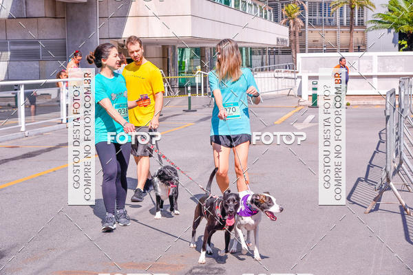 Buy your photos of the event2 Pet Run Shopping Eldorado  on Fotop